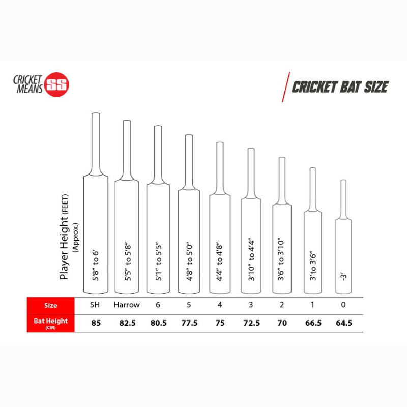 SS Master 100 kashmiri willow Bat